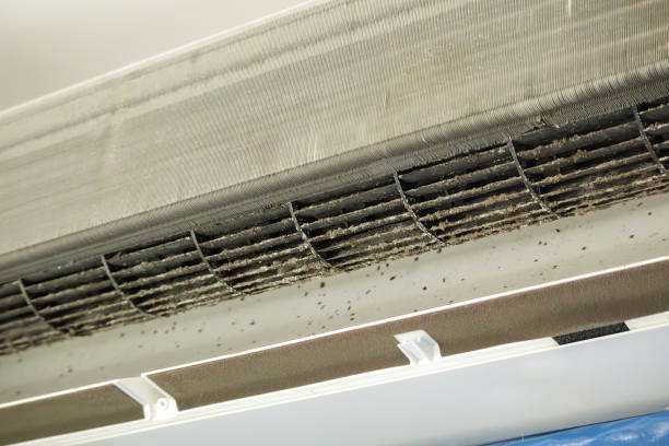 Best Professional Duct Cleaning Services  in Woodall, OK